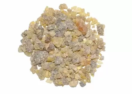 Izvleček Boswellia serrata